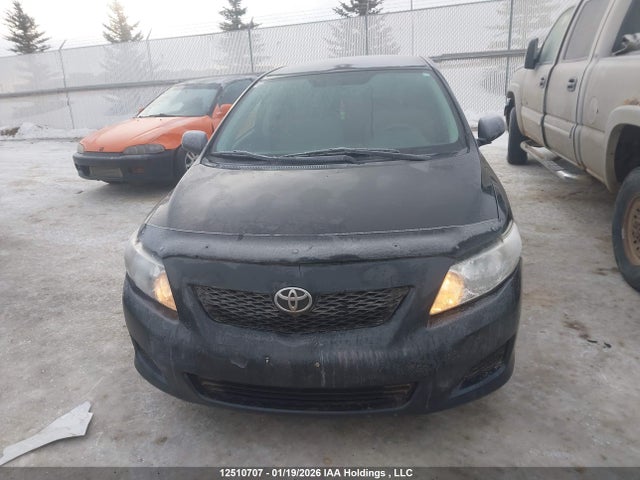 2009 Toyota Corolla Ce მანქანა იყიდება აუქციონზე, vin: 2T1BU40E59C084268, აუქციონის ნომერი: 12510707