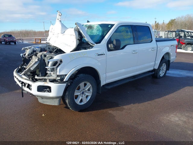 1FTEW1E43LKE98130 Ford F150 Supercrew