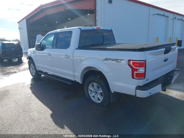 1FTEW1E43LKE98130 Ford F150 Supercrew