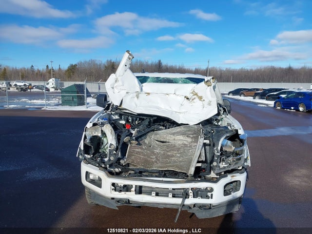 1FTEW1E43LKE98130 Ford F150 Supercrew