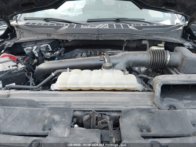 1FTFW3L87RKD36371 Ford F-150 Xlt
