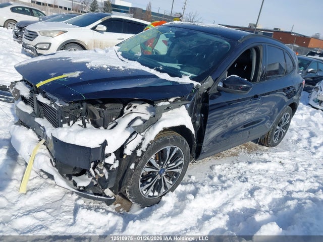 1FMCU9H96MUA09188 Ford ESCAPE SEL