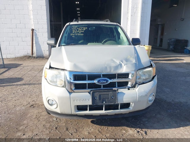 Продаж на аукціоні авто 2009 Ford Escape Xlt Automatic/xlt Manual, vin: 1FMCU03749KD09946, номер лоту: 12510994
