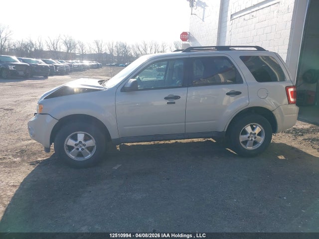 Продаж на аукціоні авто 2009 Ford Escape Xlt Automatic/xlt Manual, vin: 1FMCU03749KD09946, номер лоту: 12510994