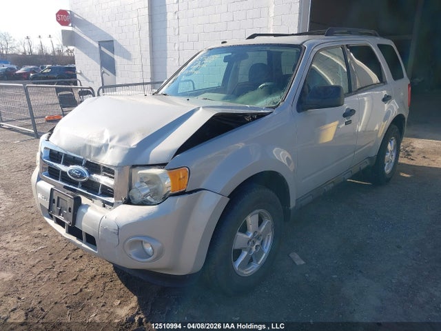 Продаж на аукціоні авто 2009 Ford Escape Xlt Automatic/xlt Manual, vin: 1FMCU03749KD09946, номер лоту: 12510994