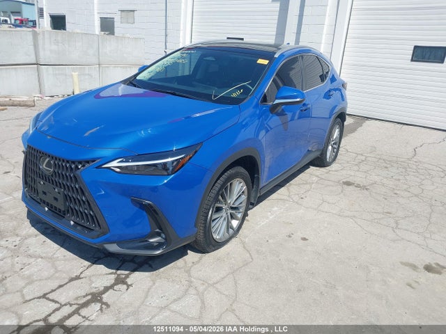 2024 Lexus Nx 350h 350h მანქანა იყიდება აუქციონზე, vin: 2T2GKCEZ0RC019955, აუქციონის ნომერი: 12511094