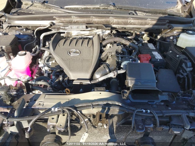 Aukcja sprzedaży 2025 Lexus Rx 350, vin: 2T2BAMCA2SC115883, numer aukcji: 12511132