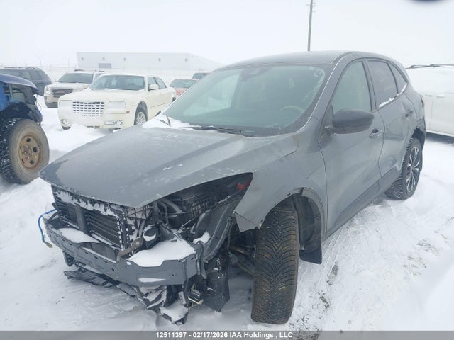 12511397 :رقم المزاد ، 1FMCU9G63NUB19334 vin ، 2022 Ford Escape Se مزاد بيع