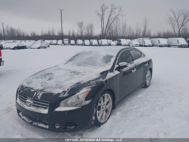 Продажа на аукционе авто 2009 Nissan Maxima S/sv, vin: 1N4AA51E89C828842, номер лота: 12511426