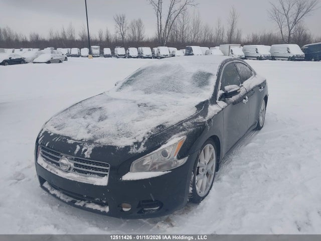 Продажа на аукционе авто 2009 Nissan Maxima S/sv, vin: 1N4AA51E89C828842, номер лота: 12511426