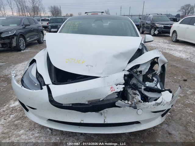 Tesla MODEL 3 2023 LRW3E1FA6PC843338 Image 11