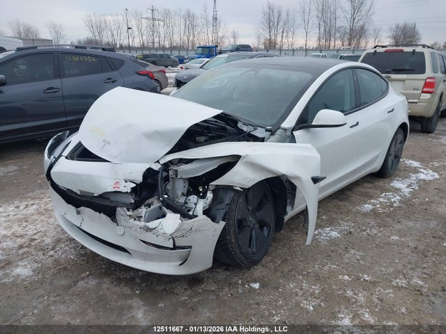 Tesla MODEL 3 2023 LRW3E1FA6PC843338 Image 2