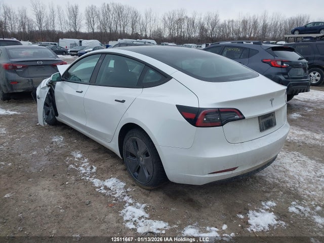Tesla MODEL 3 2023 LRW3E1FA6PC843338 Image 3