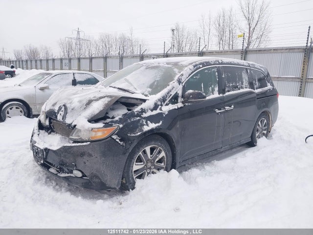 5FNRL5H91FB510978 Honda Odyssey