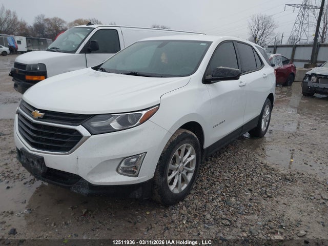 12511936 :رقم المزاد ، 2GNAXSEV4K6146080 vin ، 2019 Chevrolet Equinox Ls مزاد بيع