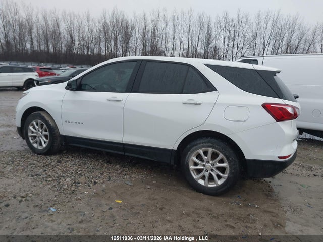 12511936 :رقم المزاد ، 2GNAXSEV4K6146080 vin ، 2019 Chevrolet Equinox Ls مزاد بيع