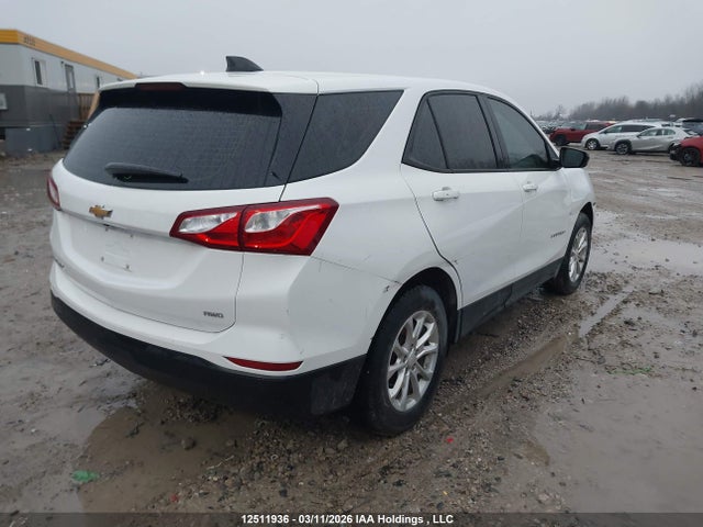 12511936 :رقم المزاد ، 2GNAXSEV4K6146080 vin ، 2019 Chevrolet Equinox Ls مزاد بيع