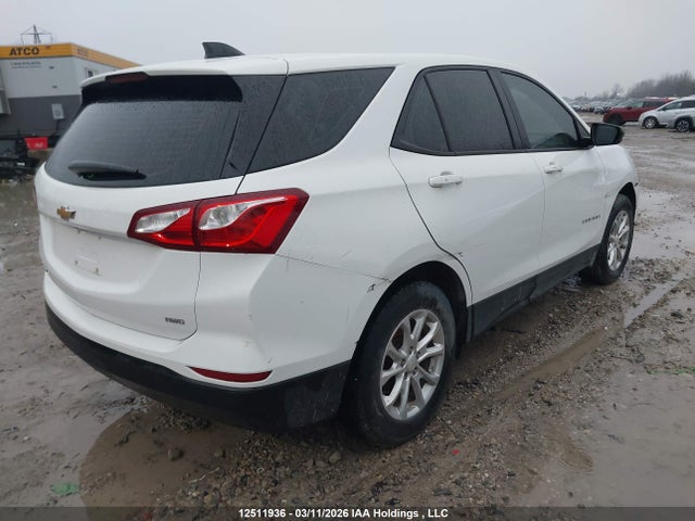 12511936 :رقم المزاد ، 2GNAXSEV4K6146080 vin ، 2019 Chevrolet Equinox Ls مزاد بيع