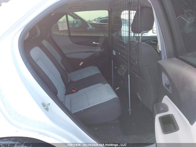 12511936 :رقم المزاد ، 2GNAXSEV4K6146080 vin ، 2019 Chevrolet Equinox Ls مزاد بيع
