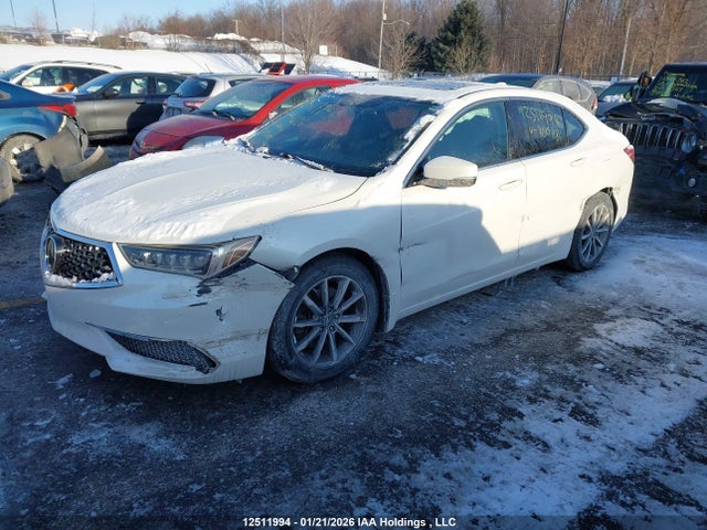 19UUB1F31JA800886 Acura TLX