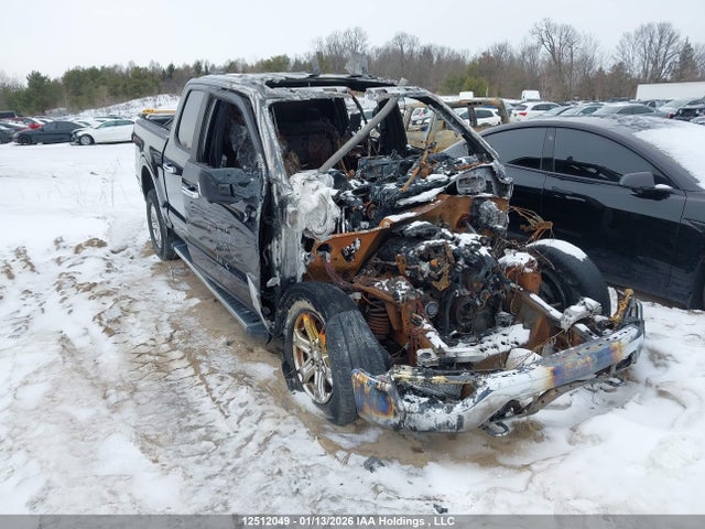 2021 Ford F-150 Xlt მანქანა იყიდება აუქციონზე, vin: 1FTEW1EB2MFB19160, აუქციონის ნომერი: 12512049