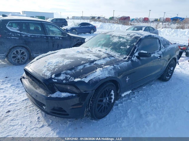 1ZVBP8AM5E5323410 Ford Mustang V6 Premium