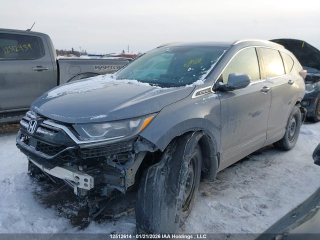 2HKRW2H80LH204316 Honda CR-V EXL