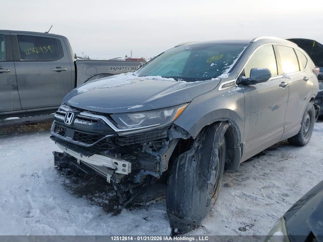 2HKRW2H80LH204316 Honda CR-V EXL