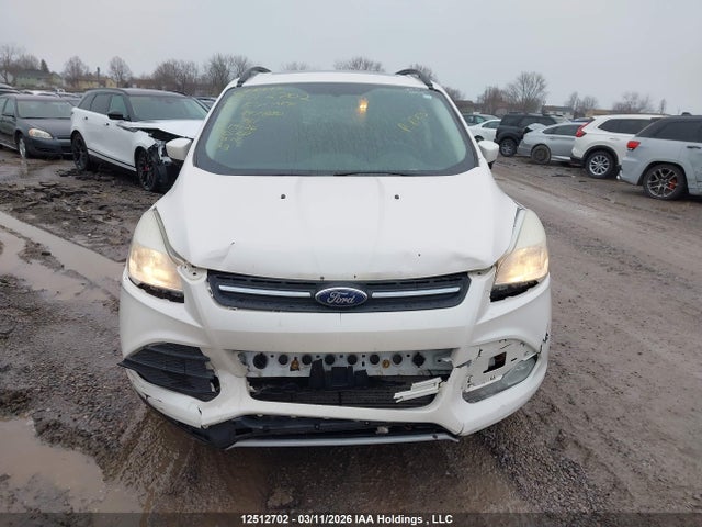 Продаж на аукціоні авто 2014 Ford Escape Se, vin: 1FMCU0G91EUA47880, номер лоту: 12512702