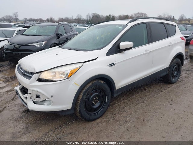 Продаж на аукціоні авто 2014 Ford Escape Se, vin: 1FMCU0G91EUA47880, номер лоту: 12512702