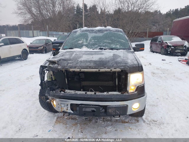 2013 Ford F-150 მანქანა იყიდება აუქციონზე, vin: 1FTFW1EF6DFB48264, აუქციონის ნომერი: 12512825