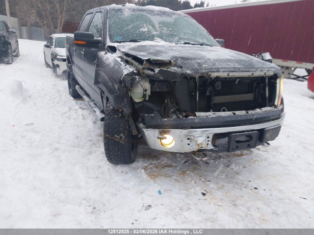 2013 Ford F-150 მანქანა იყიდება აუქციონზე, vin: 1FTFW1EF6DFB48264, აუქციონის ნომერი: 12512825