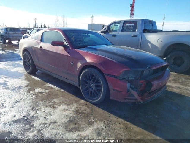 Ford Mustang 2014 1ZVBP8AM4E5300863 Image 1