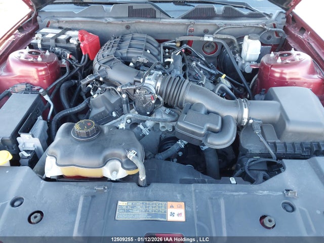 Ford Mustang 2014 1ZVBP8AM4E5300863 Image 10