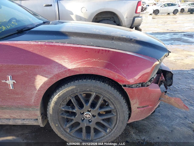 Ford Mustang 2014 1ZVBP8AM4E5300863 Image 12