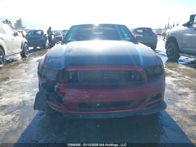 Ford Mustang 2014 1ZVBP8AM4E5300863 Image 13