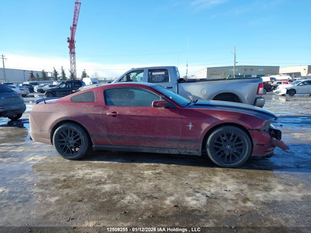 Ford Mustang 2014 1ZVBP8AM4E5300863 Image 14