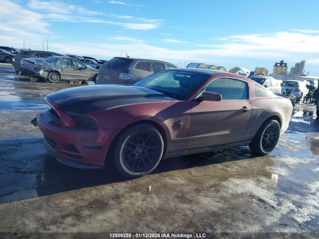 Ford Mustang 2014 1ZVBP8AM4E5300863 Image 15