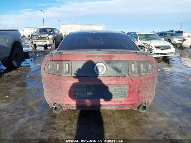 Ford Mustang 2014 1ZVBP8AM4E5300863 Image 17