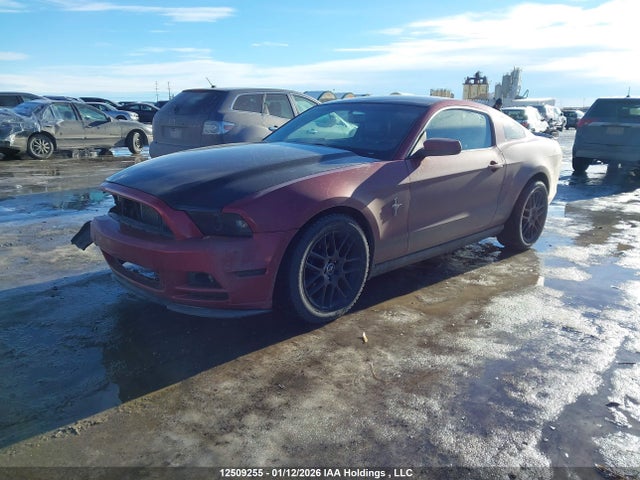 Ford Mustang 2014 1ZVBP8AM4E5300863 Image 2