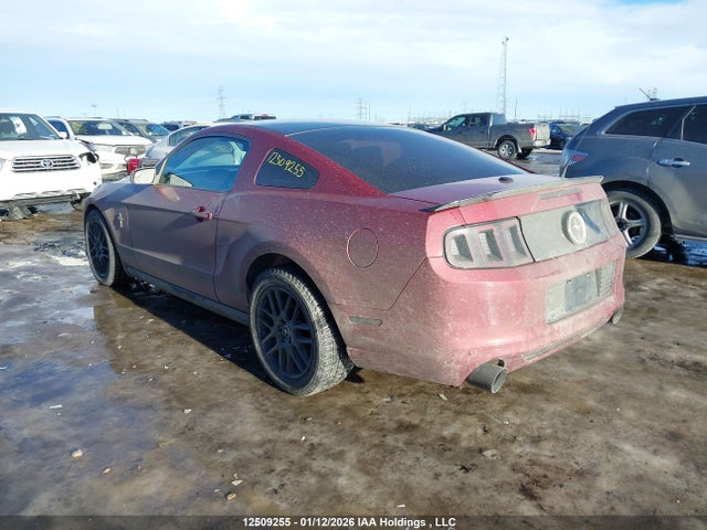 Ford Mustang 2014 1ZVBP8AM4E5300863 Image 3
