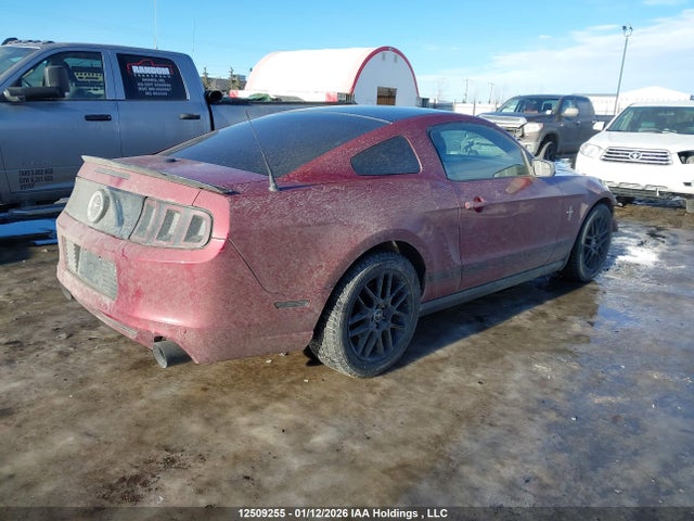 Ford Mustang 2014 1ZVBP8AM4E5300863 Image 4