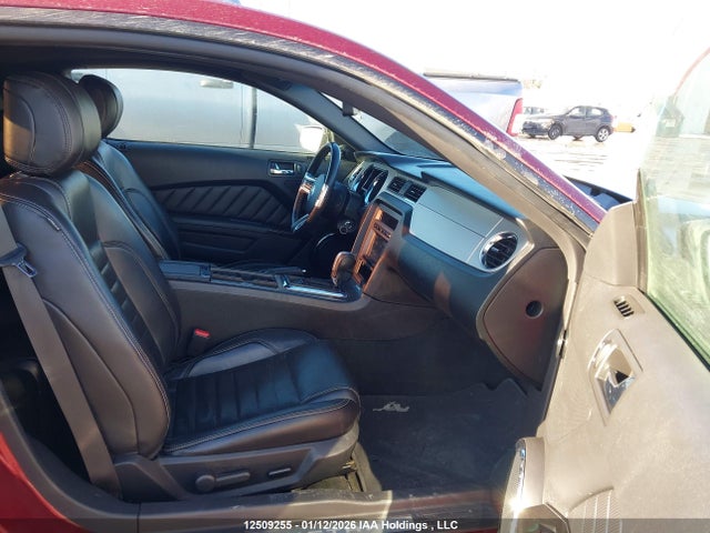 Ford Mustang 2014 1ZVBP8AM4E5300863 Image 5