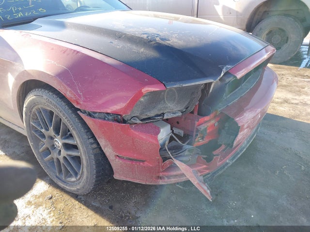Ford Mustang 2014 1ZVBP8AM4E5300863 Image 6