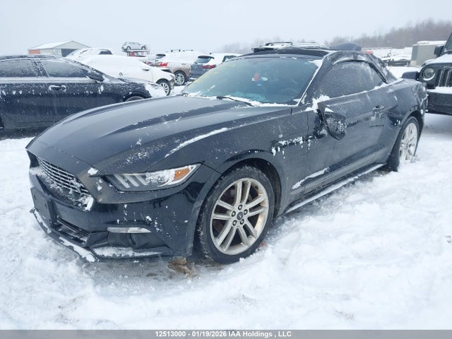 1FATP8UH4H5321616 Ford Mustang Ecoboost Premium
