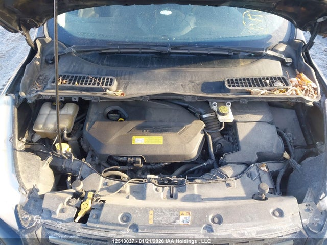 1FMCU0GX2EUD11834 Ford Escape
