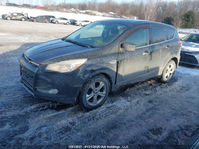1FMCU0GX2EUD11834 Ford Escape