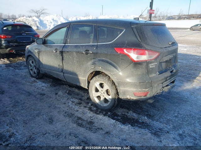 1FMCU0GX2EUD11834 Ford Escape