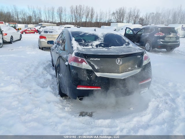 2011 Acura Tl 3.7 მანქანა იყიდება აუქციონზე, vin: 19UUA9F59BA800235, აუქციონის ნომერი: 12513192