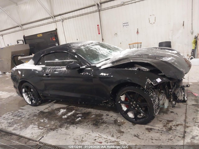 2019 Ford Mustang მანქანა იყიდება აუქციონზე, vin: 1FATP8UH2K5176986, აუქციონის ნომერი: 12513244